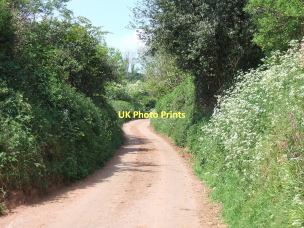 Photo 6"x4" Road leading north-west from West Sandford West Sandford c2011