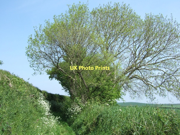 Photo 6"x4" Green lane north of West Sandford West Sandford c2011