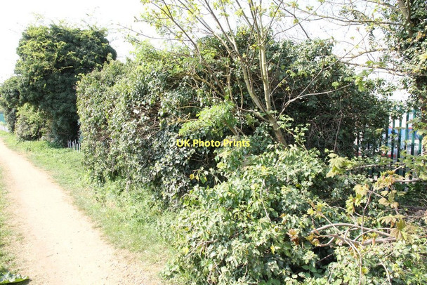 Photo 6"x4" Is there a pillbox there? Aldermaston Wharf c2011