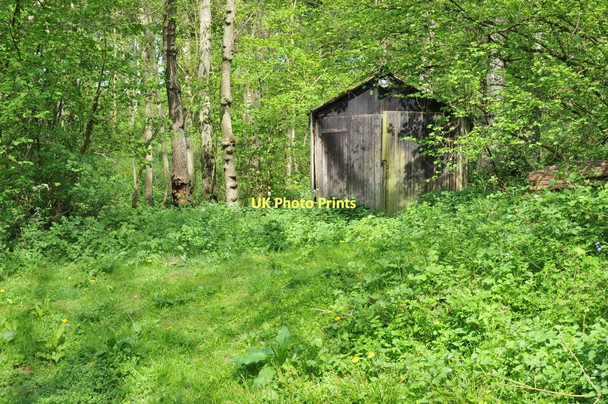 Photo 6"x4" Shed in Yatton Wood Perrystone Hill c2011