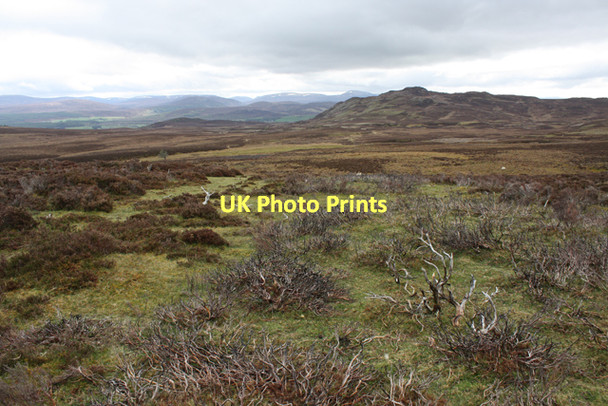 Photo 6"x4" Moorland near Allt na Baranachd Meall a' Chaochain Duibh c2011
