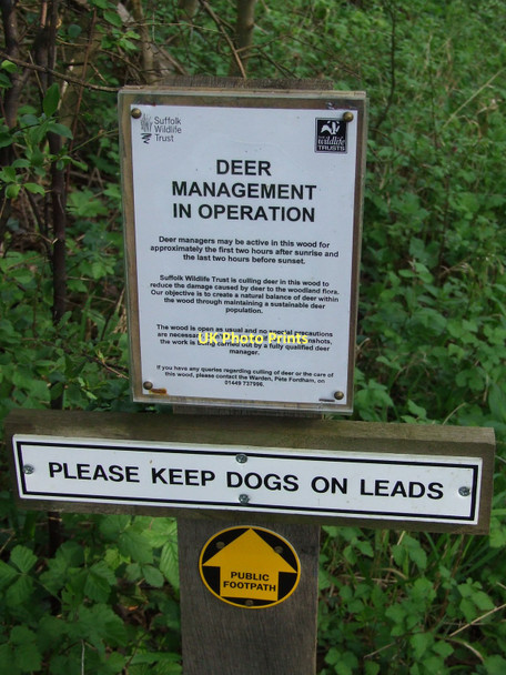 Photo 6"x4" Deer Management Sign Felsham c2011