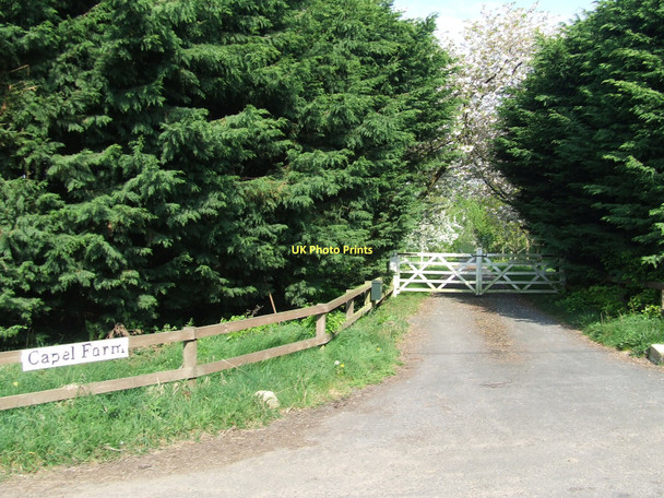 Photo 6"x4" Capel Farm entrance Colchester Green c2011