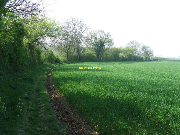 Photo 6"x4" Footpath To Bulls Wood Colchester Green c2011