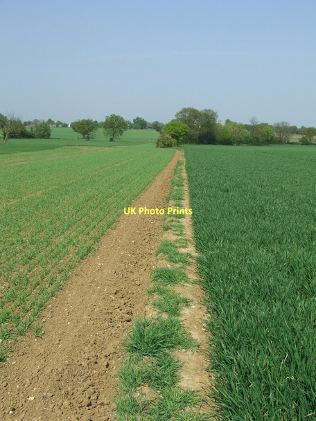 Photo 6"x4" To Felsham Felsham c2011