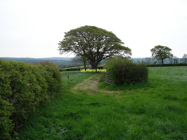 Photo 6"x4" Public footpath near Dyffryntrogin Llandissilio c2011