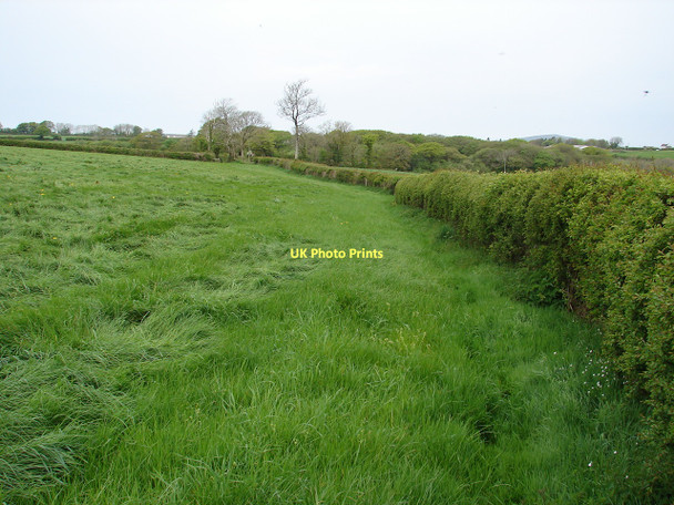 Photo 6"x4" Footpath towards the A478 Llandissilio c2011