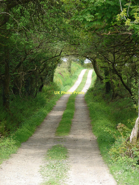 Photo 6"x4" Through the keyhole Llandissilio c2011