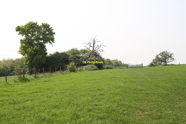 Photo 6"x4" Field Beside Edgwarebury Lane Edgware c2011