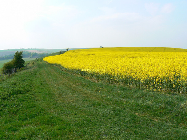 Photo 6"x4" Bridleway to the Ridgeway past Liddington Warren Upper Upham c2011