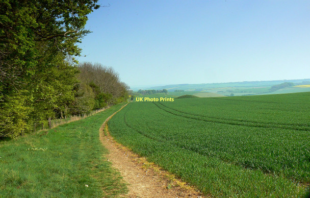 Photo 6"x4" Bridleway to Aldbourne, Sugar Hill Upper Upham c2011
