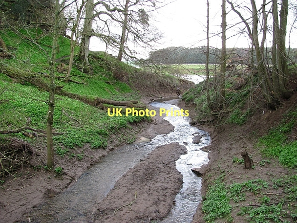 Photo 6"x4" Burn, Newbiggin Dean Grindon\/NT9144 c2011