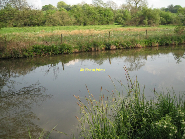 Photo 6"x4" Wildflowers by the Stratford-upon-Avon Canal: 1 Barnmoor Green c2011