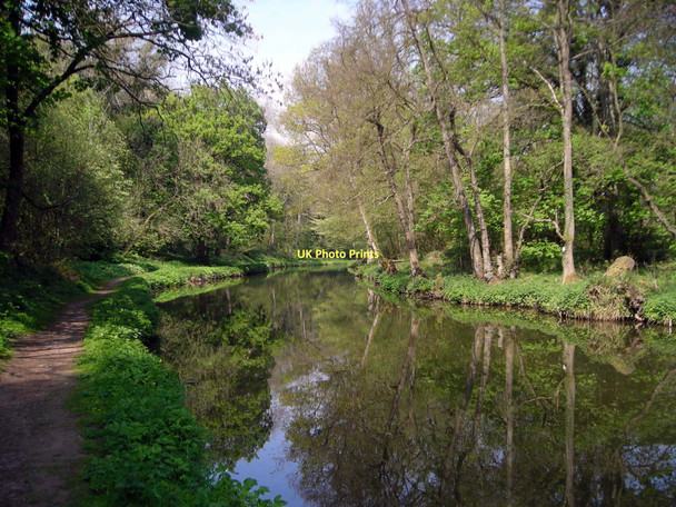 Photo 6"x4" Caldon Canal Consall c2010