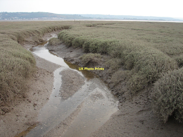 Photo 6"x4" Saltmarsh creek Cefncaeau c2011