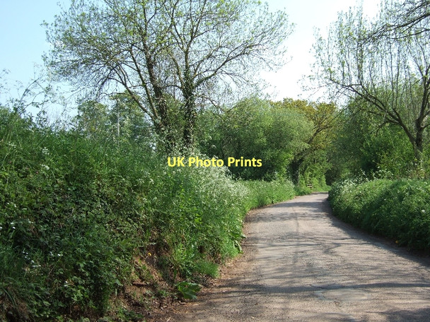 Photo 6"x4" Road south from Lower Haske Cross Crediton c2011