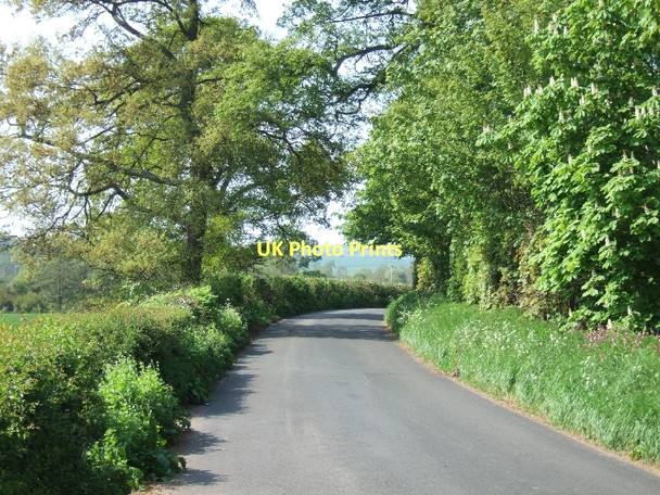 Photo 6"x4" Road skirting south-west corner of Shobrooke Park Crediton c2011