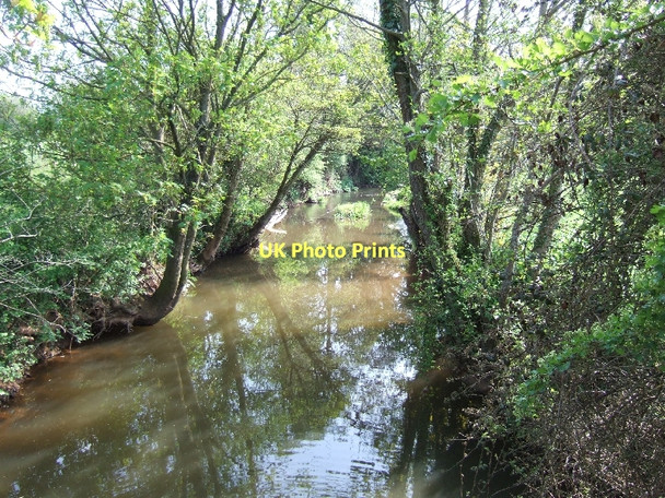 Photo 6"x4" River Creedy near Lord's Meadow Crediton c2011