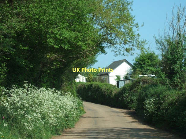 Photo 6"x4" Road in West Raddon Uppincott\/SS8802 c2011