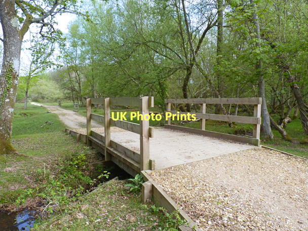 Photo 6"x4" Bridges over Streams in Holmsley Inclosure Bisterne Close c2011