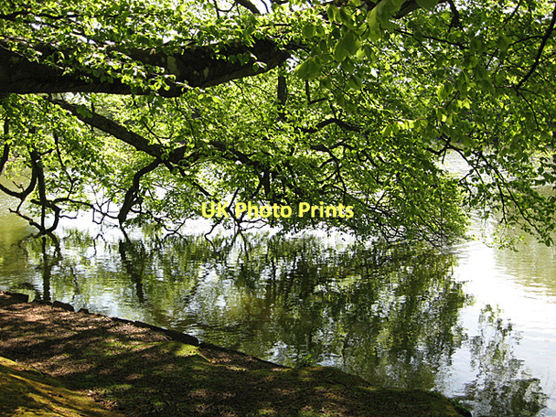 Photo 6"x4" Gordon Castle Lake Fochabers c2011