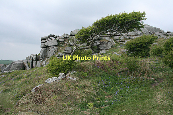 Photo 6"x4" Lanlivery: tree and tor Lowertown\/SX0561 c2011
