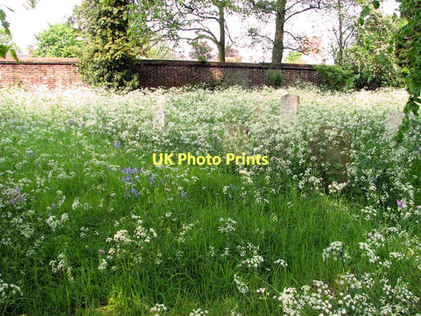 Photo 6"x4" The Gildencroft Quaker Cemetery, Norwich Norwich c2011
