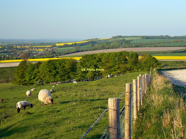 Photo 6"x4" Pasture and arable land, south of Bishopstone, Swindon Bishopstone\/SU2483 c2011