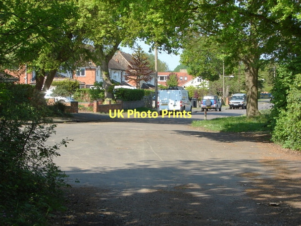 Photo 6"x4" Ash, South Lane Ash Green\/SU9049 c2011