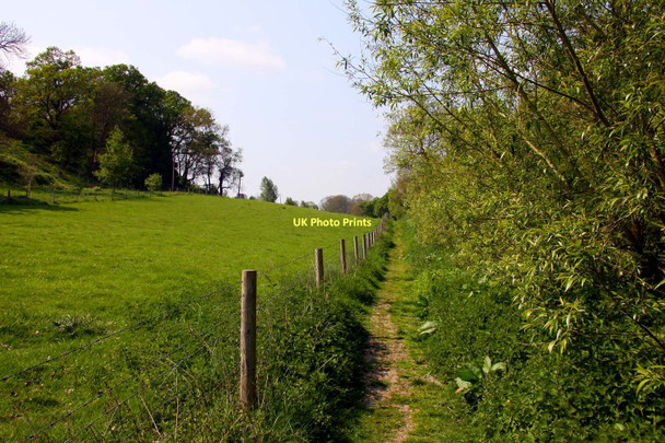 Photo 6"x4" Bridleway by a field Shillingford\/SU5992 c2011
