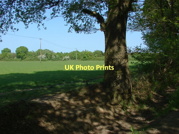 Photo 6"x4" Fields near Ash Ash Green\/SU9049 c2011