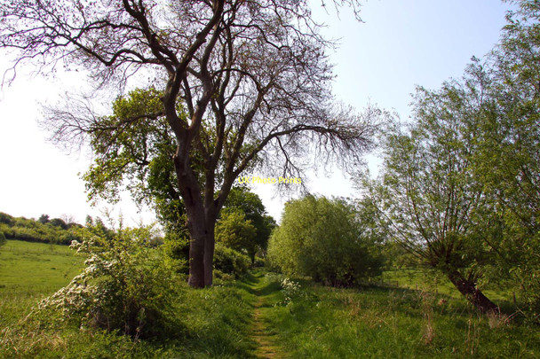 Photo 6"x4" Bridleway to North Farm Shillingford\/SU5992 c2011