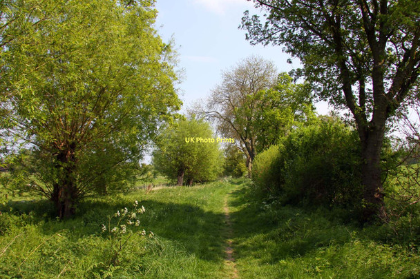 Photo 6"x4" Bridleway to Shillingford Bridge Shillingford\/SU5992 c2011
