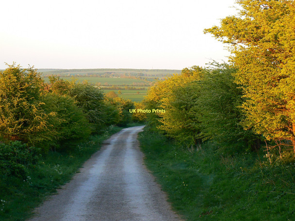 Photo 6"x4" East along the Ridgeway, south of Bishopstone, Swindon Bishopstone\/SU2483 c2011