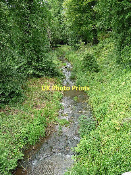 Photo 6"x4" Howick Burn near Howick Howick\/NU2517 c2010