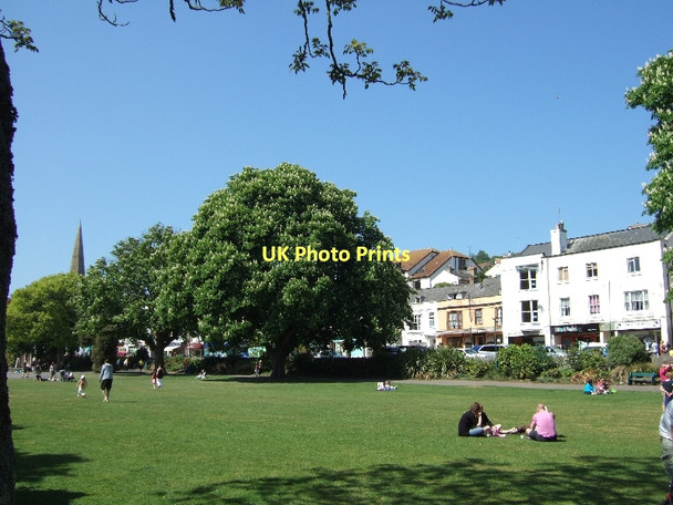 Photo 6"x4" The Lawn at Dawlish Dawlish c2011