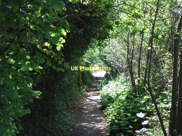 Photo 6"x4" South West Coast Path above Coryton's Cove Dawlish c2011