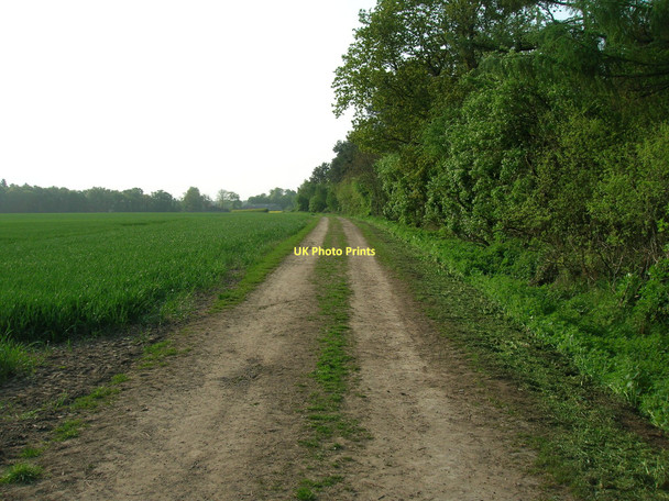 Photo 6"x4" Track beside Hagg Wood Hall Garth\/SE6751 c2011