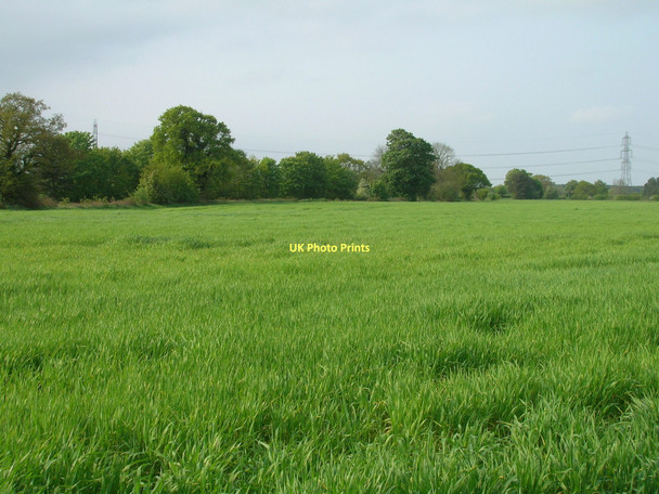 Photo 6"x4" Farmland, Dunnington Common Dunnington\/SE6652 c2011