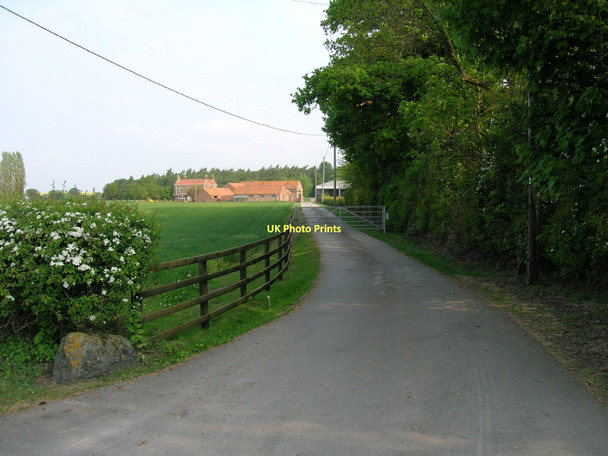 Photo 6"x4" Track to Lodge Farm Hall Garth\/SE6751 c2011