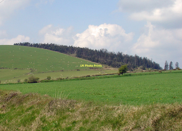 Photo 6"x4" Fields near Penlan-uchaf, Penrydd Tegryn c2011
