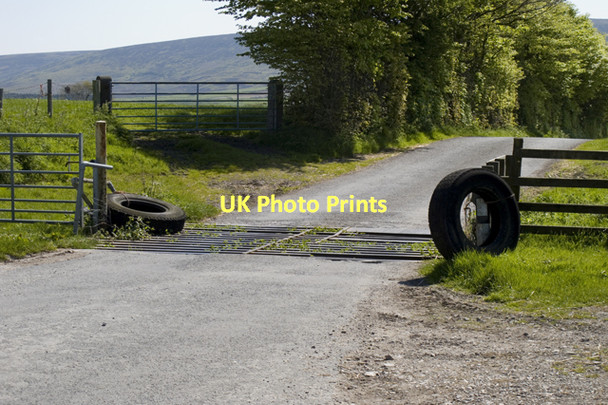 Photo 6"x4" Cattle Grid, Abbeystead Lane Abbeystead c2011