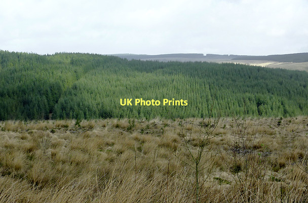 Photo 6"x4" Tywi forest across Cefn Isaf and Bryn Mawr, Ceredigion Nant Cwm-du\/SN7955 c2011