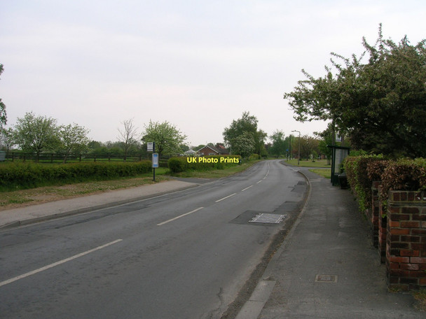 Photo 6"x4" Stockton Lane towards Stockton on the Forest Tang Hall\/SE6252 c2011