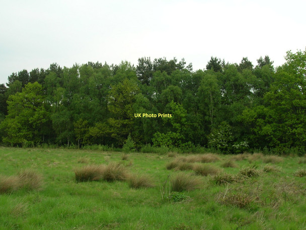Photo 6"x4" Damhill Wood Moor End\/SE6656 c2011