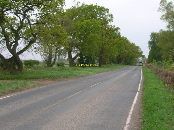 Photo 6"x4" Towthorpe Moor Lane Towthorpe\/SE6358 c2011