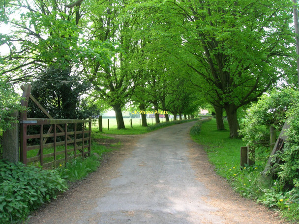Photo 6"x4" Track to Home Farm Wigginton\/SE5958 c2011