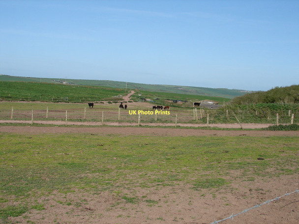 Photo 6"x4" Land at Gupton Farm Castlemartin c2011