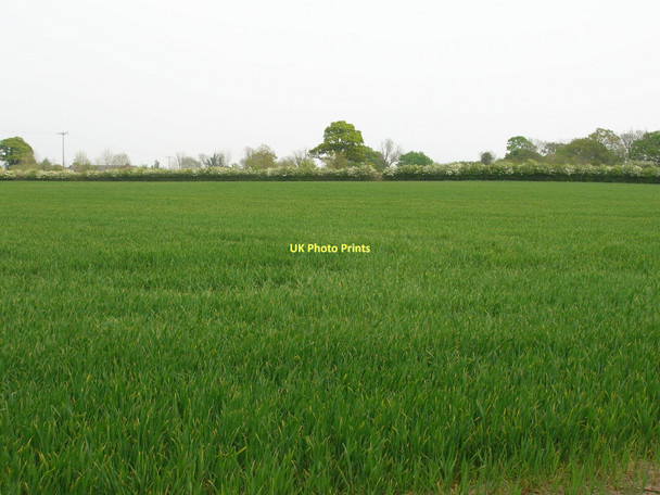 Photo 6"x4" Farmland off Green Lane Grimston\/SE6451 c2011