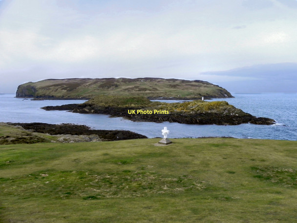 Photo 6"x4" Calf Sound Cregneash c2011